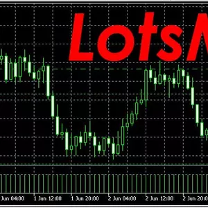 Imagen de portada para Curso online Lotsmin