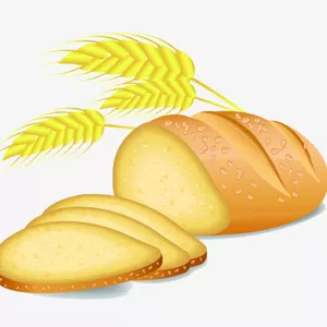 Imagem de capa para o Curso online Verso a Verso - Imersão bíblica 