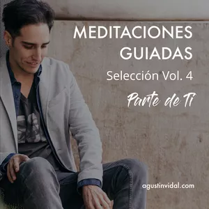 Imagen principal del producto Álbum Selección Vol. 4 · Parte de Ti · Meditaciones Guiadas 2020