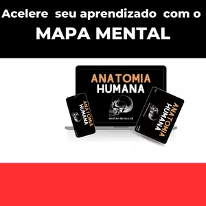 Imagem de capa para o Ebook Mapa Mental Sistema Muscular