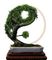 Yin Yang Wisdom University