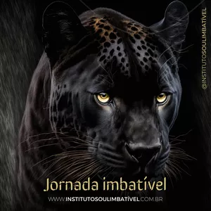 Imagem de capa para o Curso online MENTORIA SOUL IMBATÍVEL 2023