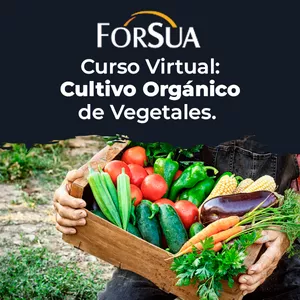Imagen de portada para Curso online Curso Virtual: Cultivo Orgánico de Vegetales