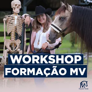 Imagem de capa para o Curso online Workshop Formação MV