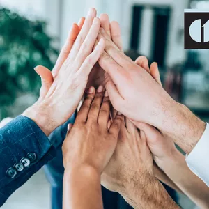 Imagen de portada para Curso online Élite