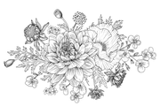 Blossom and Branch Farm logo