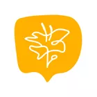 Foto do autor Michelle Coutinho