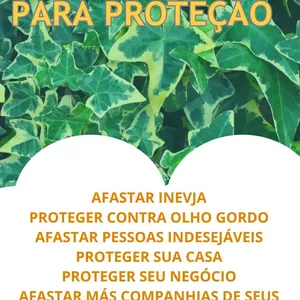 Imagem de capa para o Ebook 11 SIMPATIAS PARA PROTEÇÃO 
