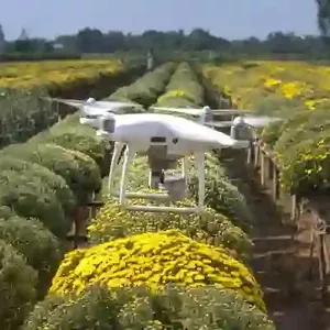 Imagen de portada para Curso online Conteo de Plantas y Árboles con Imágenes de Drones Usando Datos RGB y Multiespectrales
