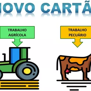 Planilha Cartão Ponto