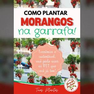 Imagem de capa para o Curso online Como Plantar Morangos Na Garrafa