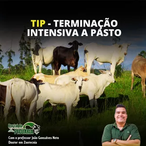 Imagem do curso TIP - Terminação Intensiva a Pasto