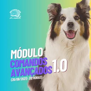 Capa do curso 