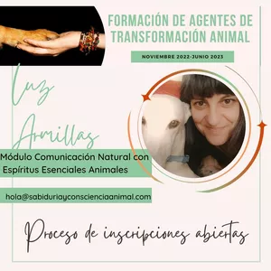 Imagen de portada para Curso online Módulo de Comunicación Natural con los Espíritus Esenciales Animales