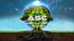 The Awakening Sovereignty Collective