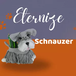 Imagem de capa para o Curso online ETERNIZE SCHNAUZER 