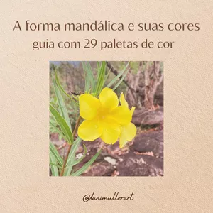 Imagem de capa para o Curso online Guia com 29 Paleta de Cores