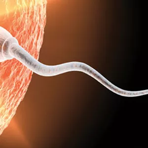 Imagem de capa para o Curso online Reprodução Humana para o Ginecologista e Obstetra