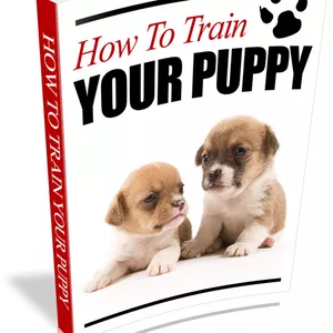 Cover image for Ebook How to Train your Puppy