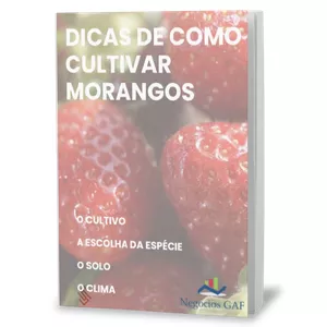Imagem de capa para o Ebook Dicas de como Cultivar Morangos