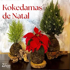 Imagem de capa para o Curso online Kokedamas de Natal