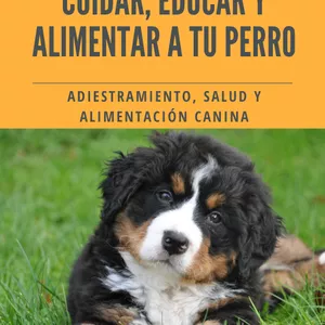 Imagen de portada para Curso online Descubre el método probado para entrenar, alimentar y cuidar a tu perro como un experto.