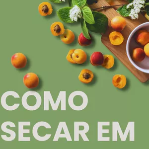 Imagem de capa para o Ebook COMO SECAR EM 30 DIAS