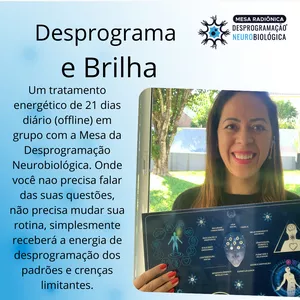 Imagem de capa para o Curso online Desprograma e Brilha