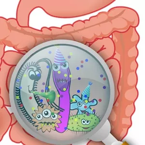 Imagem principal do produto Curso de Formação em Modulação da Microbiota Intestinal
