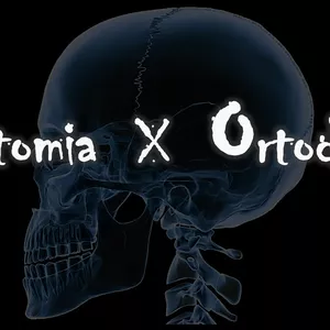 Imagem de capa para o Curso online Aula Anatomia x Ortodontia
