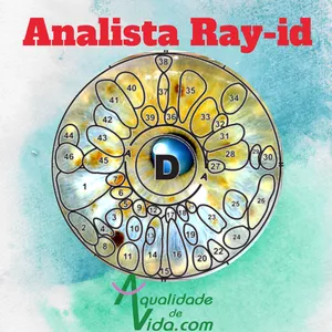 Imagem de capa para o Curso online Analista Rayid