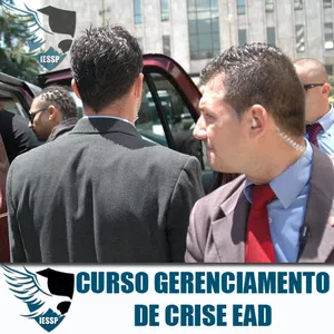 Imagem do curso Gerenciamento de Crises