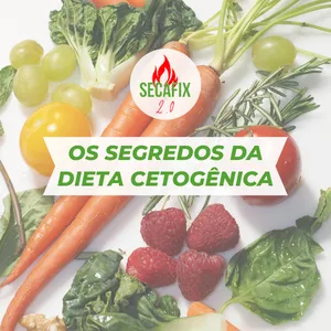 Imagem de capa para o Ebook Os Segredos da Dieta Cetogênica 