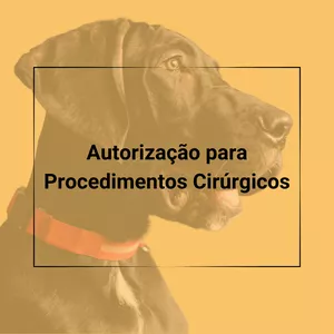 Imagem de capa para o Ebook Contratos Veterinários - Autorização para Procedimentos Cirúrgicos