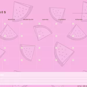 Imagen de portada para Curso online Planner Mensual 