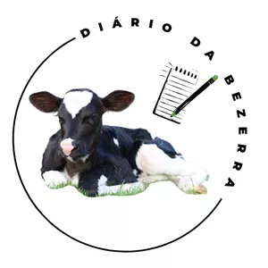 Imagem de capa para o Curso online Mentoria + Diário da Bezerra