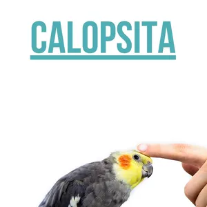 Imagem de capa para o Ebook Manual da calopsita