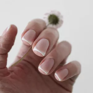 Imagem do curso Alicate lucrativo.