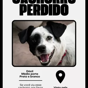 Imagem de capa para o Curso online Cartaz Editável Para Cachorro Desaparecido