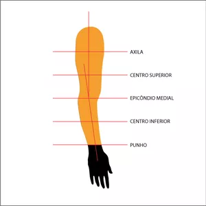 Imagem de capa para o Curso online MANGA LONGA