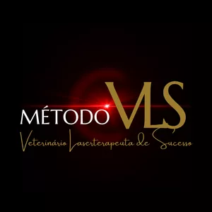 Imagem de capa para o Curso online Método VLS