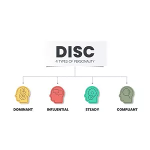Imagem de capa para o Curso online Relatório DISC