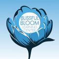 Virtual Success Academy logo