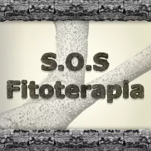 Imagem de capa para o Curso online Curso de Fitoterapia S.o.S. Fitoterapia