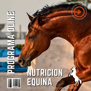 Imagen de portada para Curso online Nutrición Equina (El arte de cuidar tu caballo)