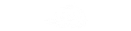 Remote Work School logo