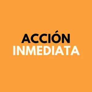 Imagen de portada para Ebook Acción Inmediata