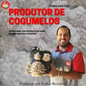 PRODUTOR DE COGUMELO SHIMEJI
