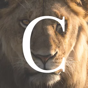 Imagem de capa para o Curso online COMPROMETA-C: Transformando Sonhos em Realidade