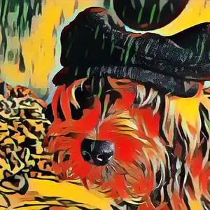 Imagem de capa para o Curso online ARTE DO DIA A DIA